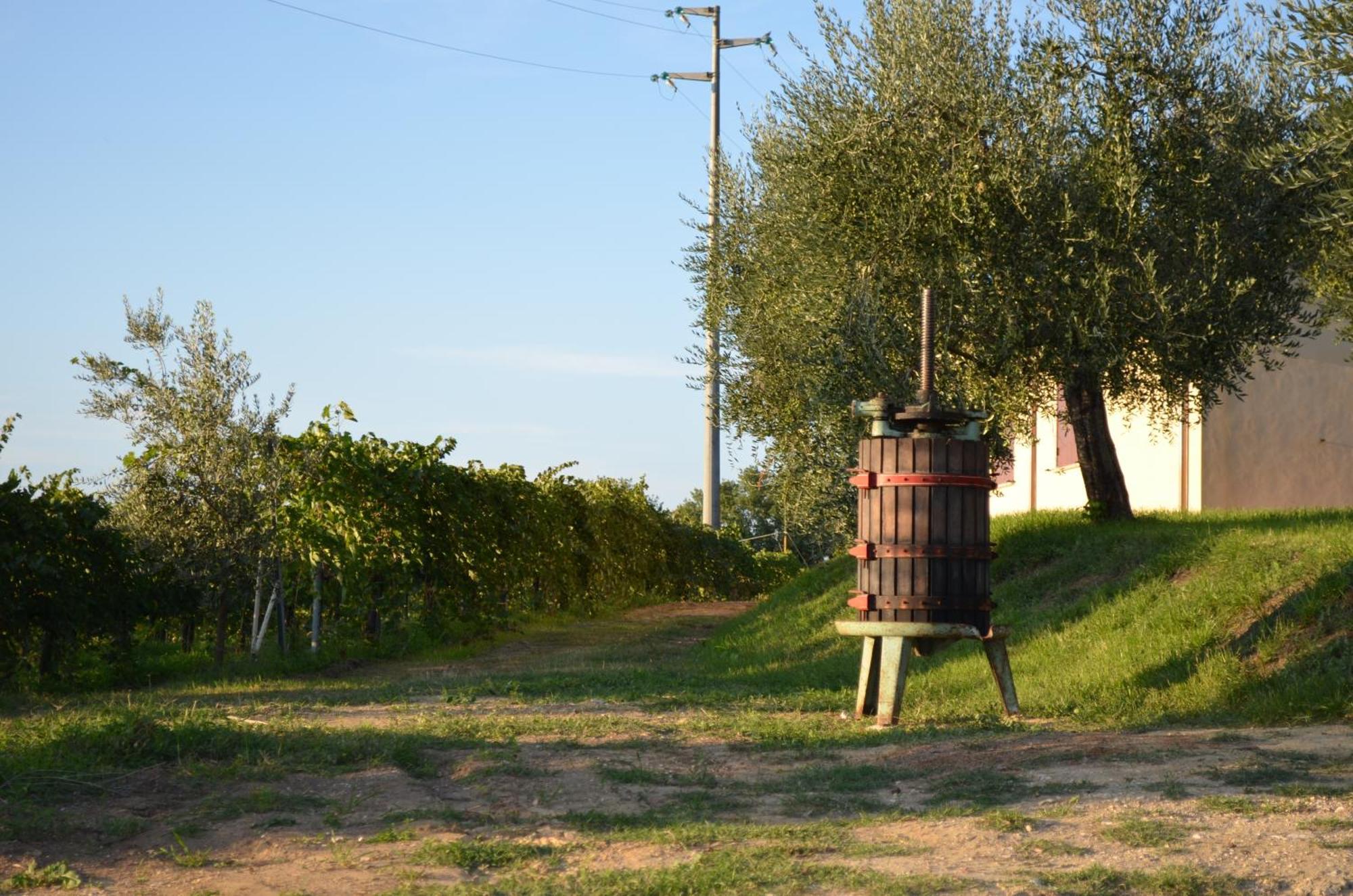 Agriturismo Casale Contessa Montebuono  Екстериор снимка