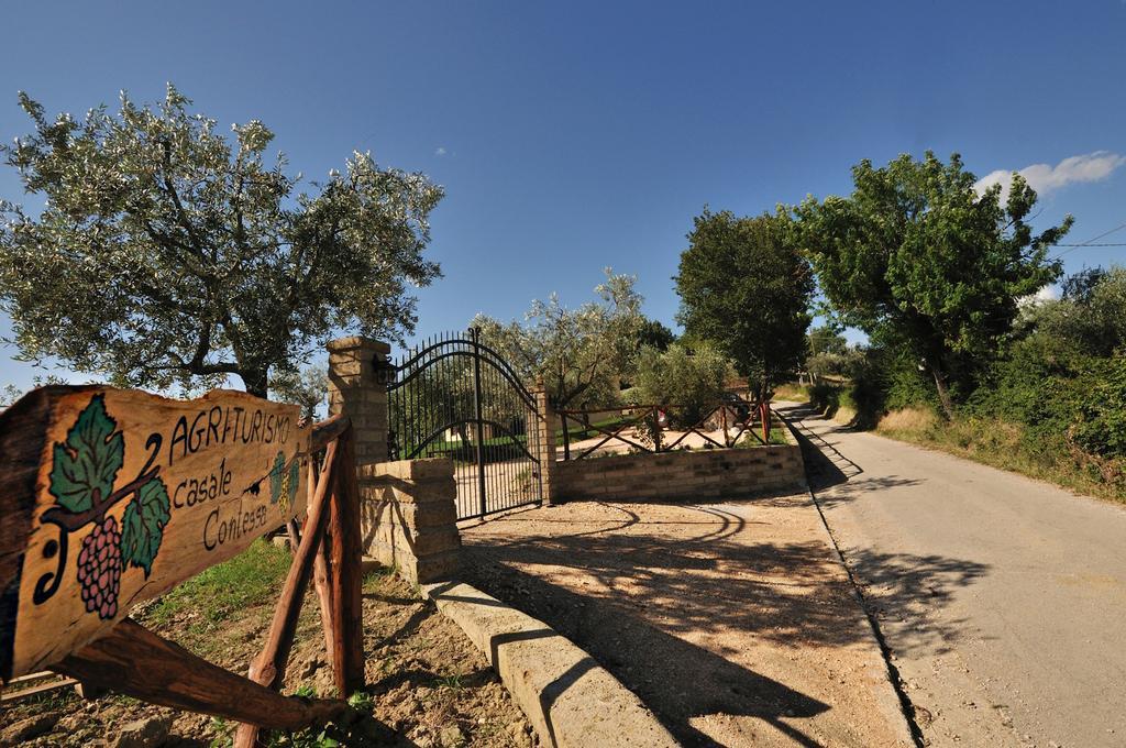 Agriturismo Casale Contessa Montebuono  Екстериор снимка