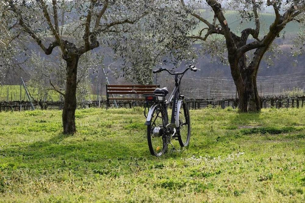 Agriturismo Casale Contessa Montebuono  Екстериор снимка
