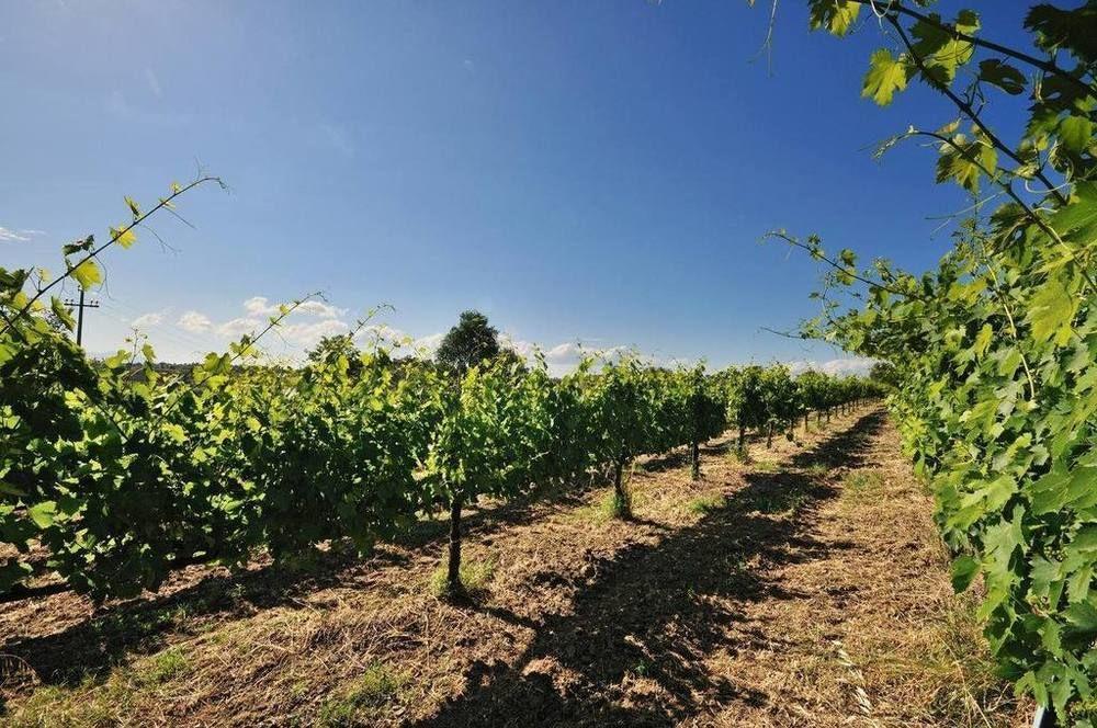 Agriturismo Casale Contessa Montebuono  Екстериор снимка
